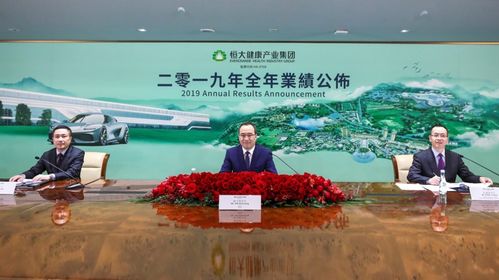 恒大健康2019年報 健康產業與旅游業務齊頭并進，全年營收增長超八成