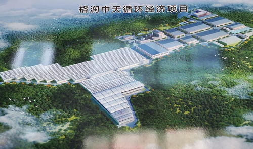 鹽亭新型環保項目即將竣工，年處置6.6萬噸固廢物助推綠色發展